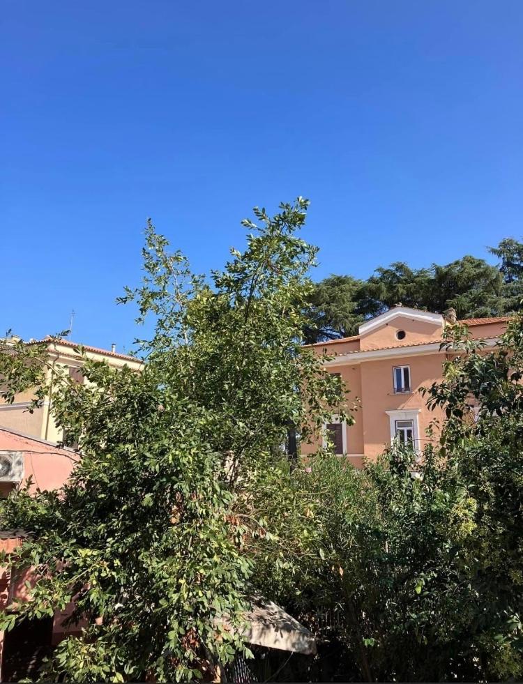 רומא Casa Di Vivi, Comoda Per Il Centro, Il Vaticano Ed Il Gemelli מראה חיצוני תמונה